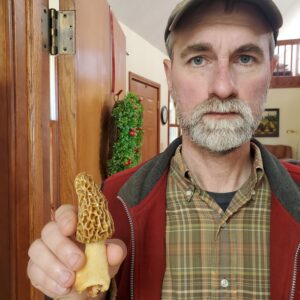 The only morel I've ever found